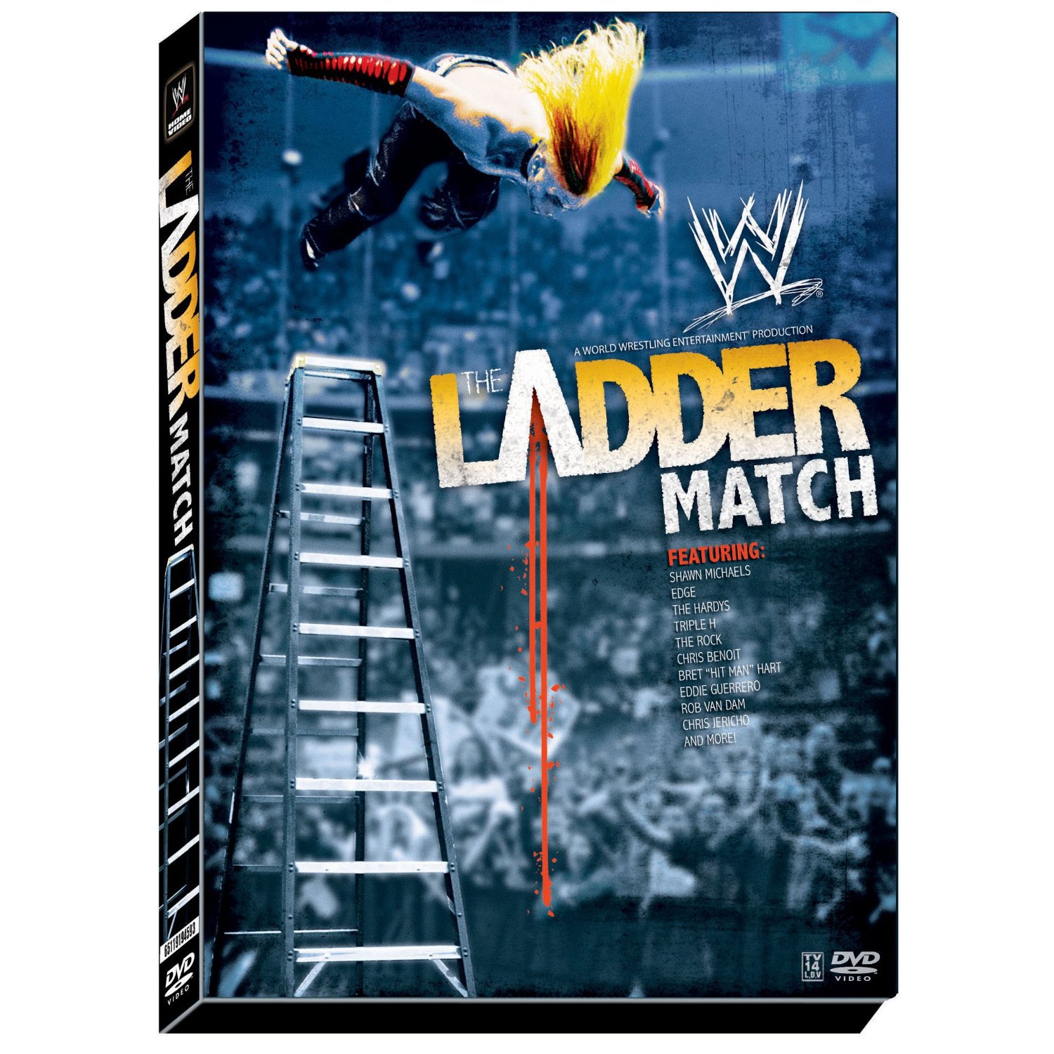 WWE Ladder Match
