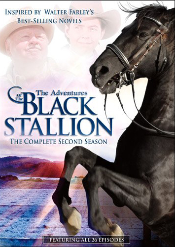 Adventures of Black Stallion