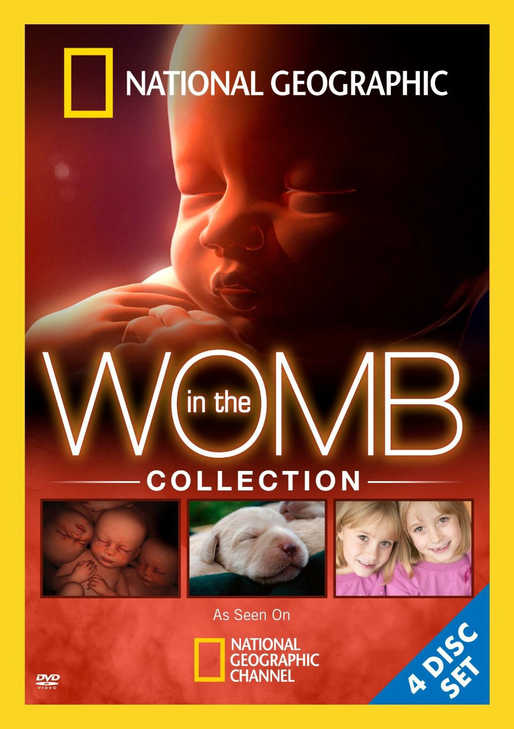 In the Womb Collection