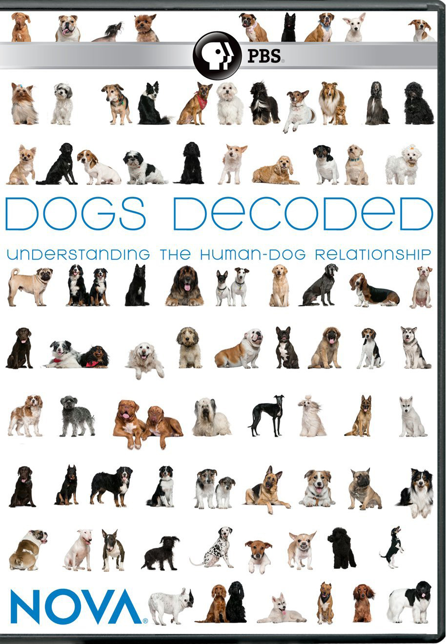 Nova: Dogs Decoded