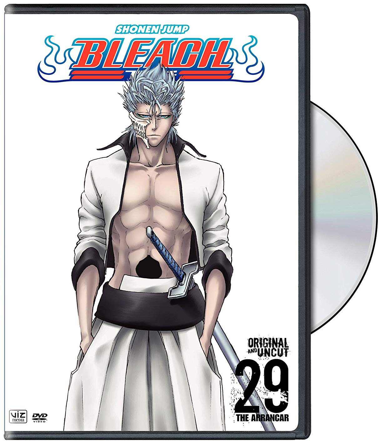 Bleach Volume 29