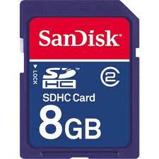 8 GB SD Memory Card