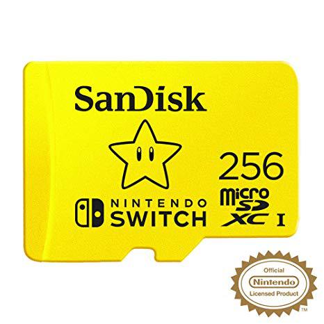 256 GB Micro SD Card