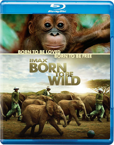 IMAX: Born to be Wild