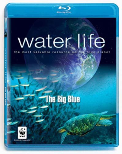 Water Life: The Big Blue