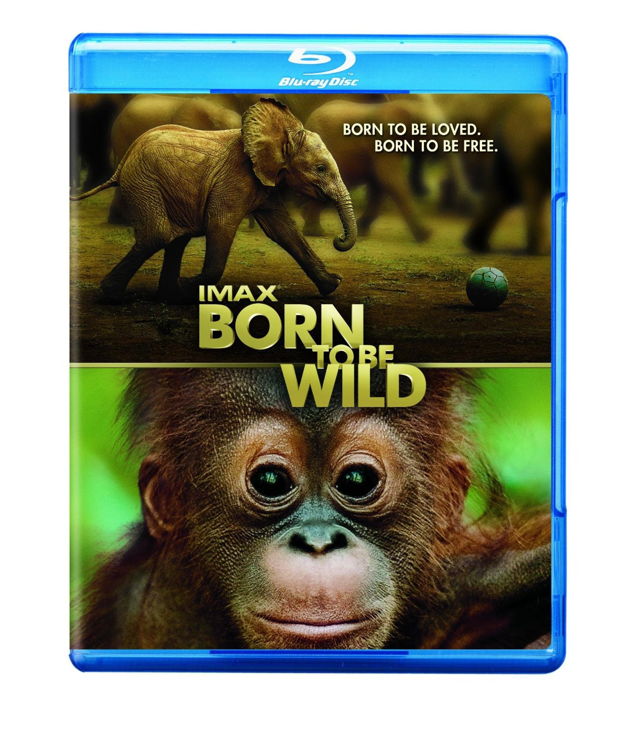 IMAX: Born to Be Wild