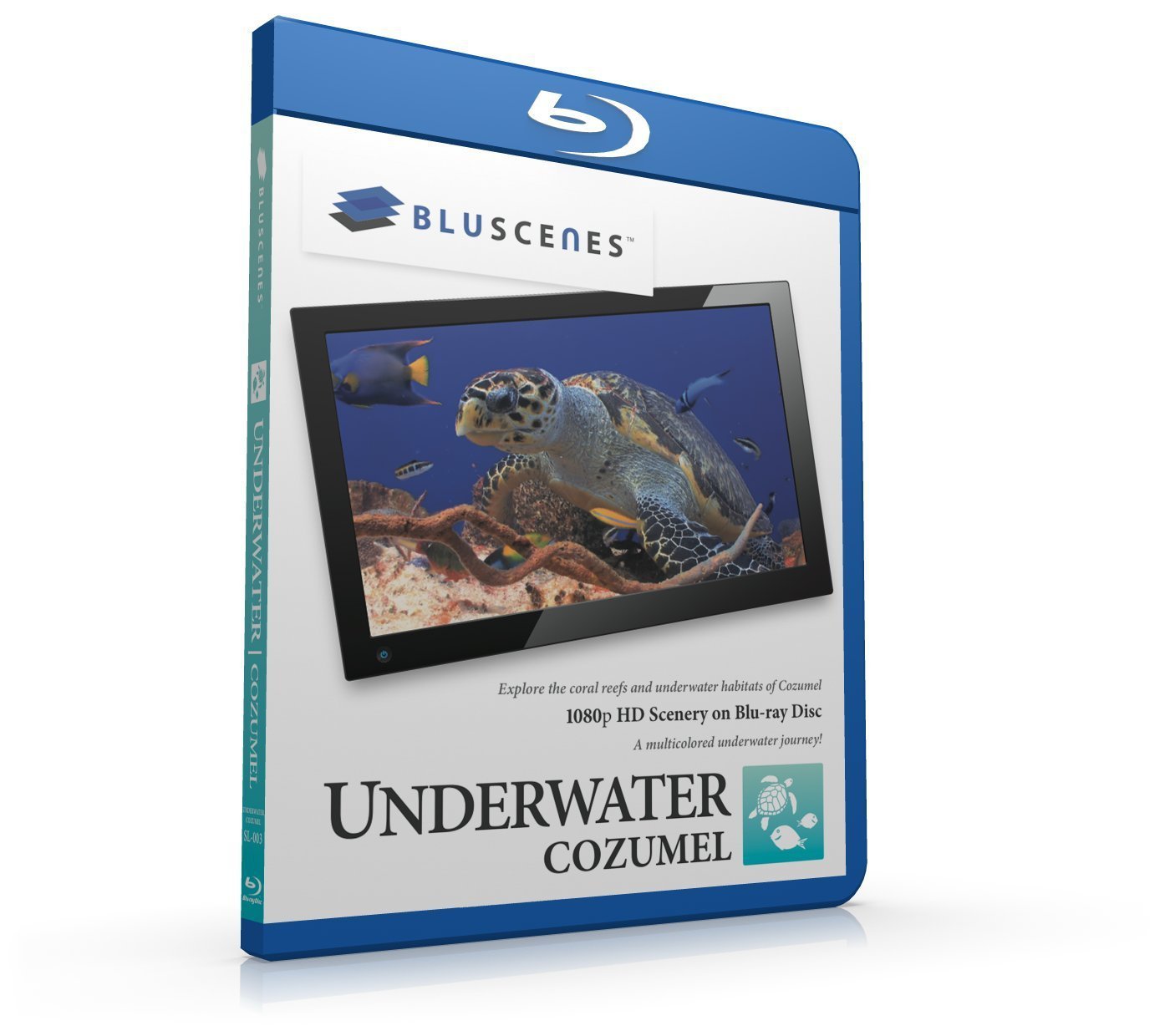 BluScenes: Underwater Cozumel
