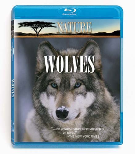 Nature: Wolves