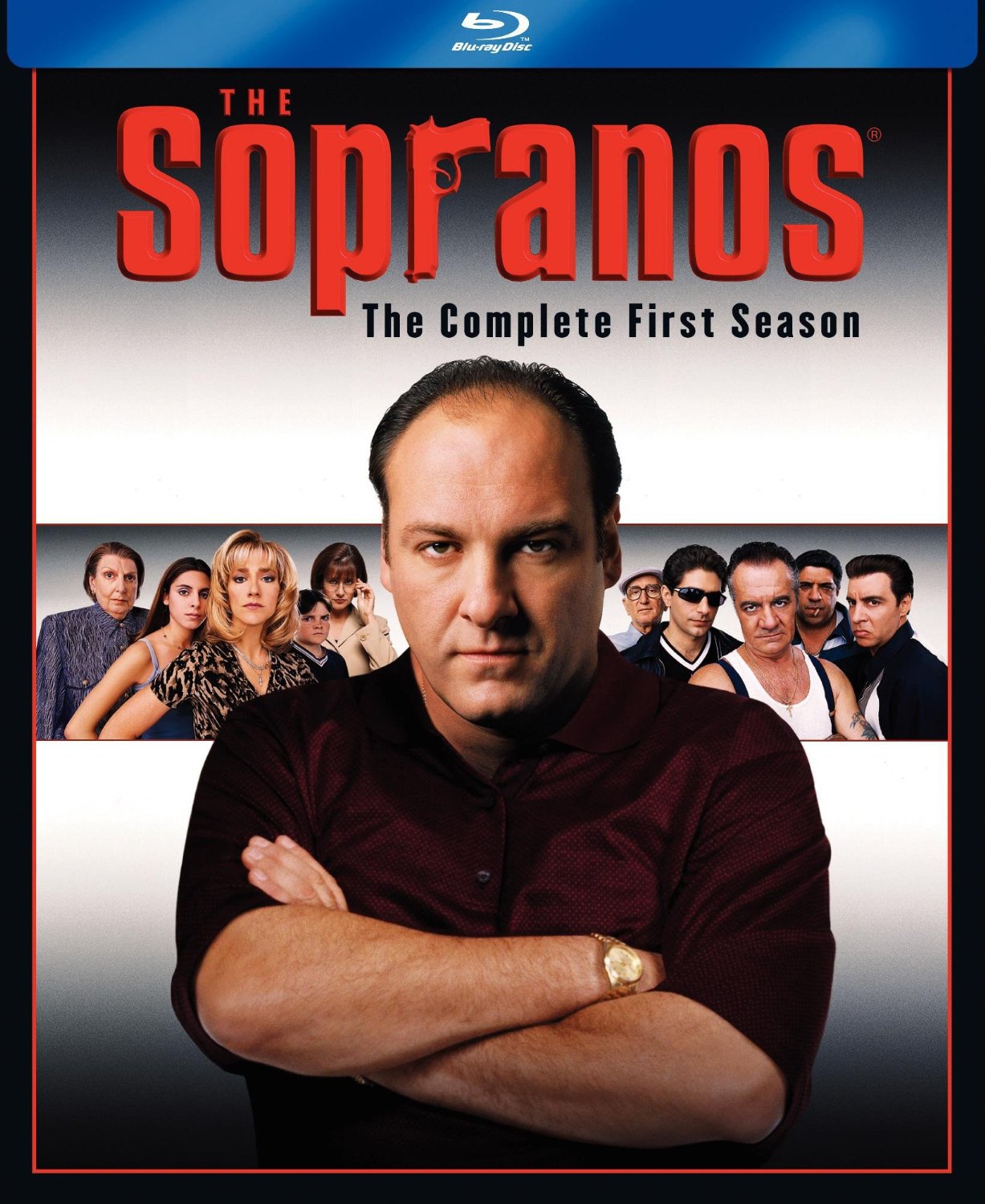 Sopranos, The: Season 1