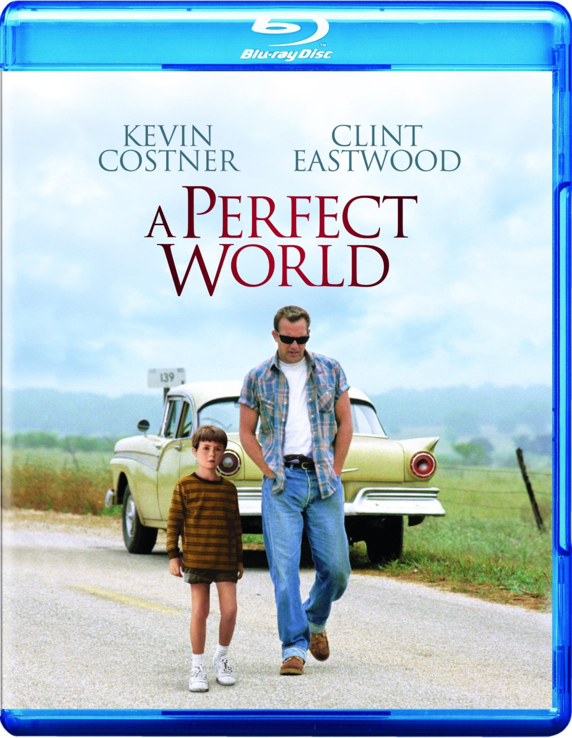 Perfect World, A