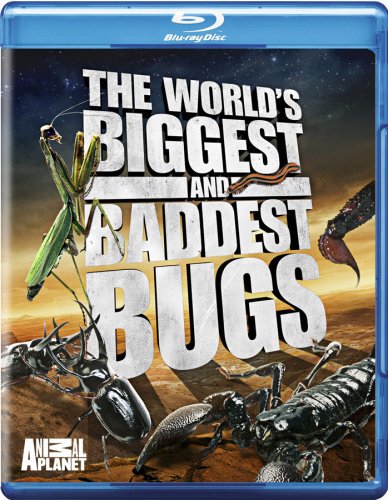 Worlds Biggest &amp; Baddest Bugs