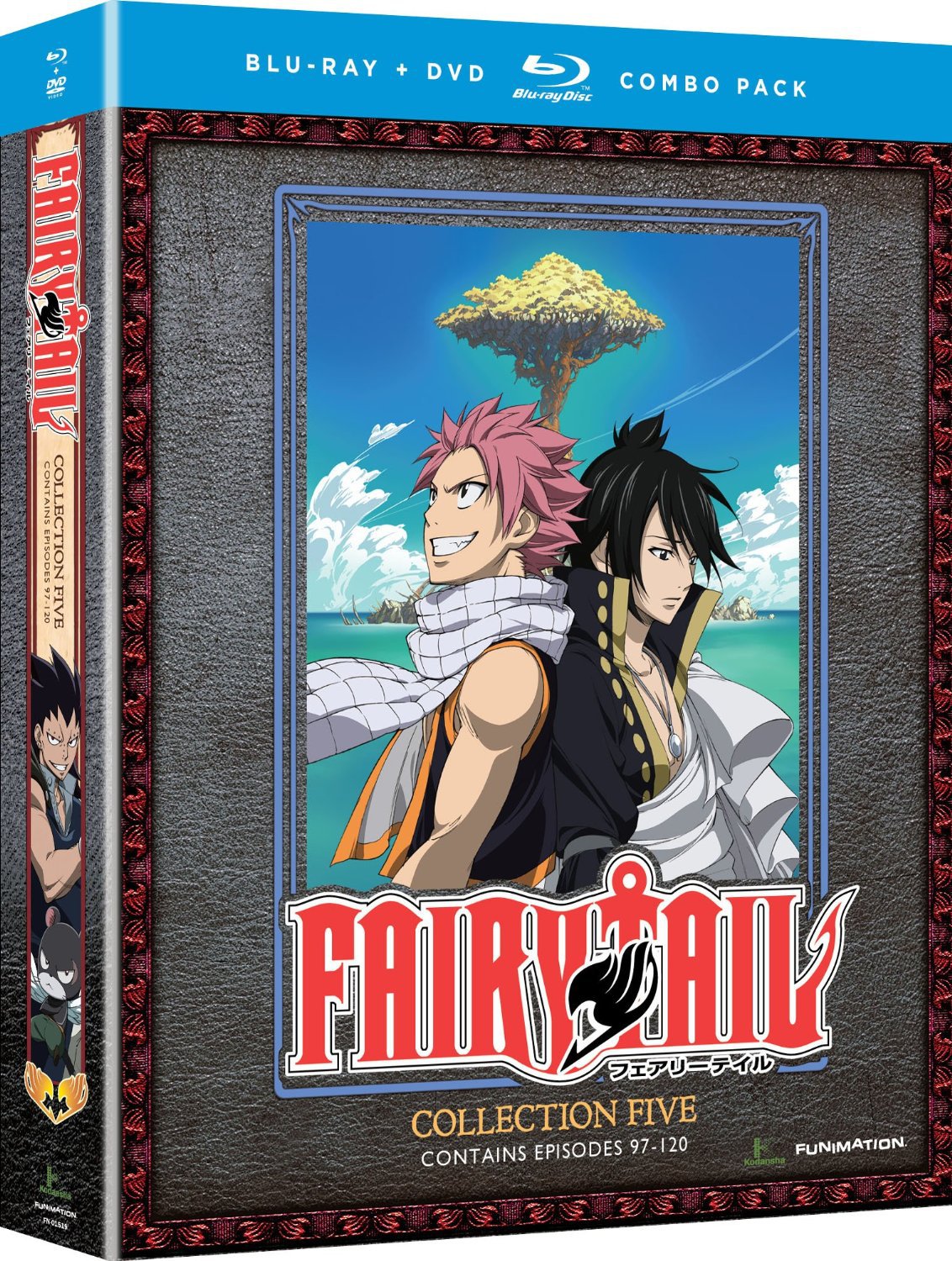 Fairy Tail: Collection 5