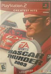 Nascar Thunder 2003