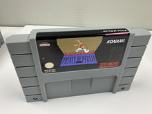 Prince Of Persia Wall Art - Large SNES 3D Printed Display